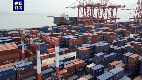 偉大的歷史變革 高水平對外開放推動二手日用百貨銷售產業升級